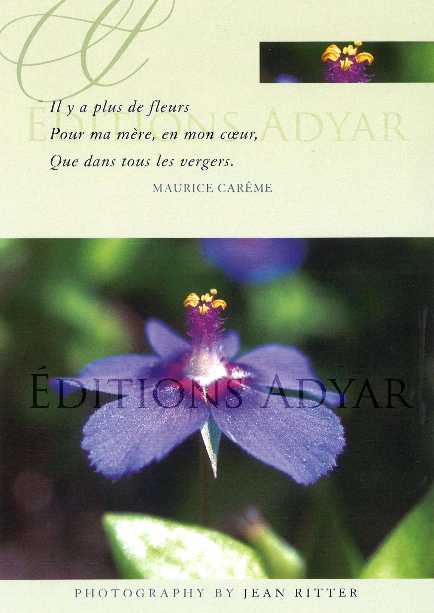 Carte de vœux « Ma mère »