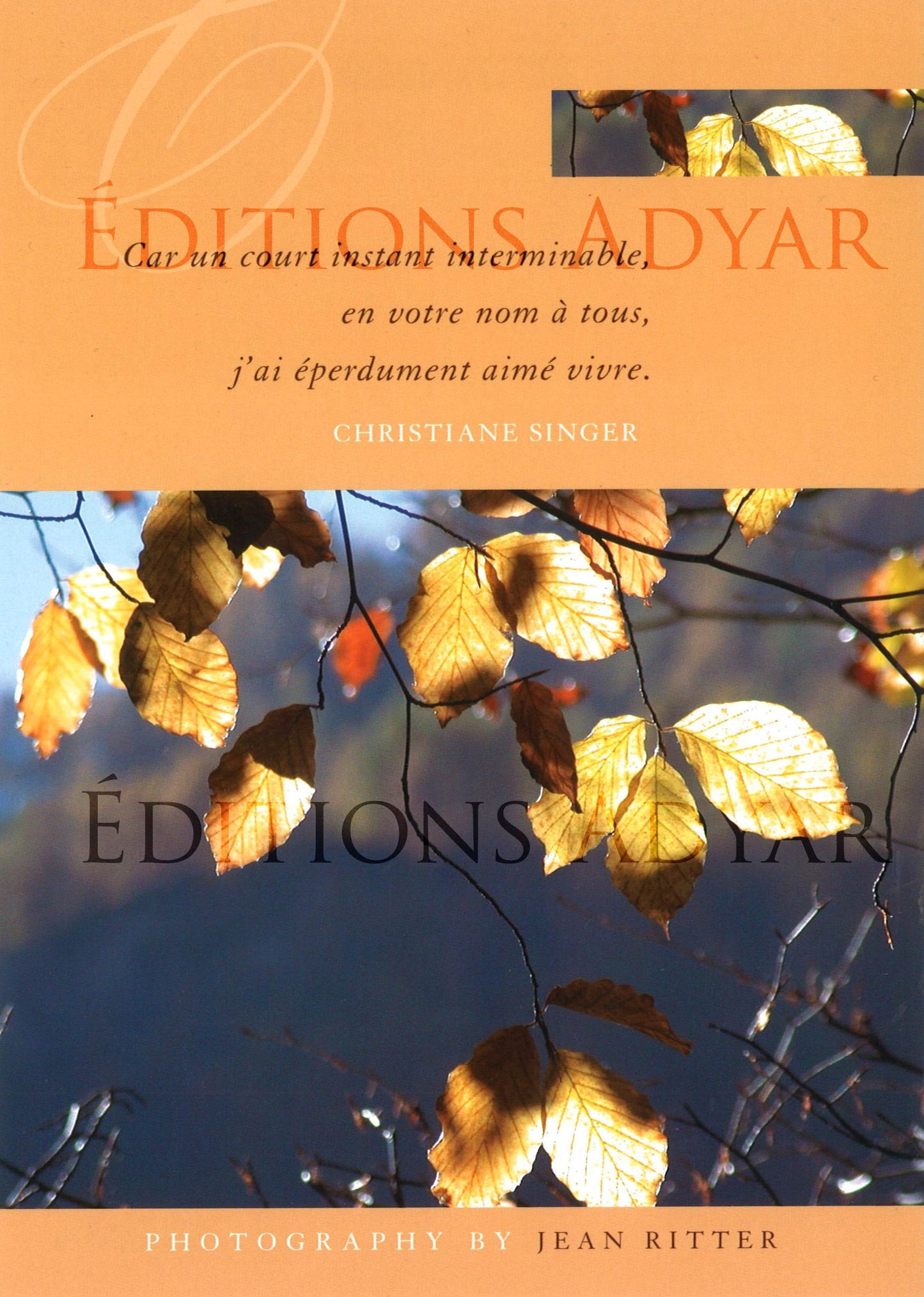 Carte de vœux « Court instant »