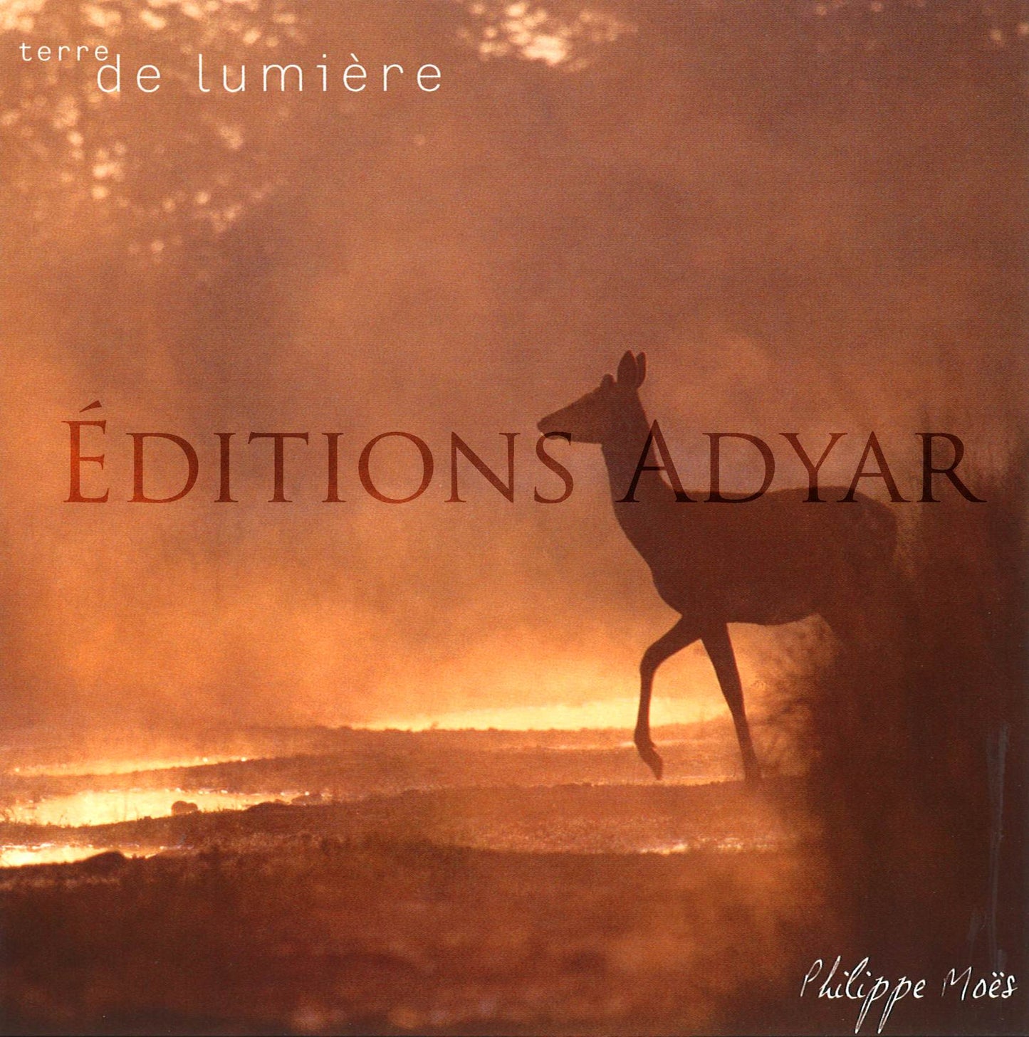 Carte de vœux « Terre de lumière »