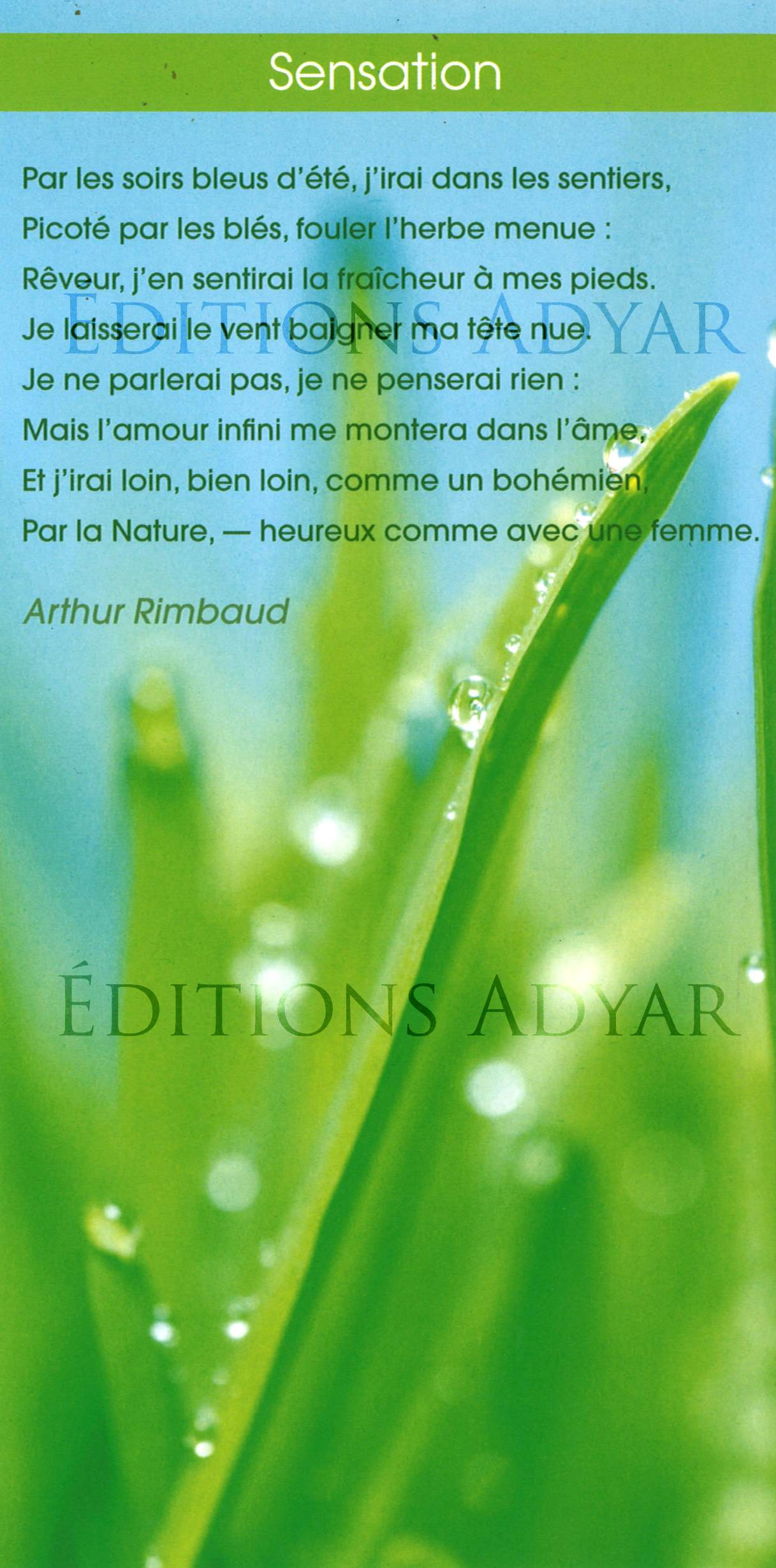 Carte de vœux « Sensation »