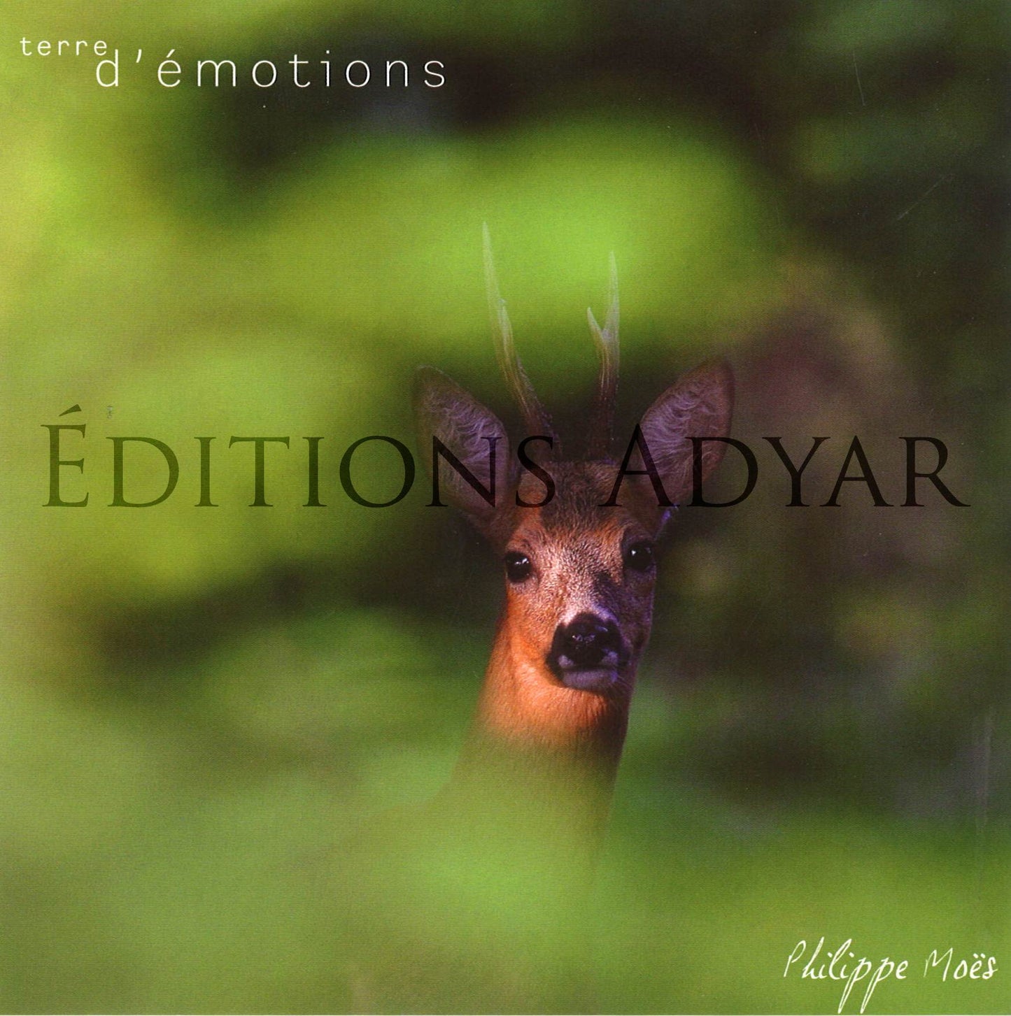 Carte de vœux « Terre d'émotion »