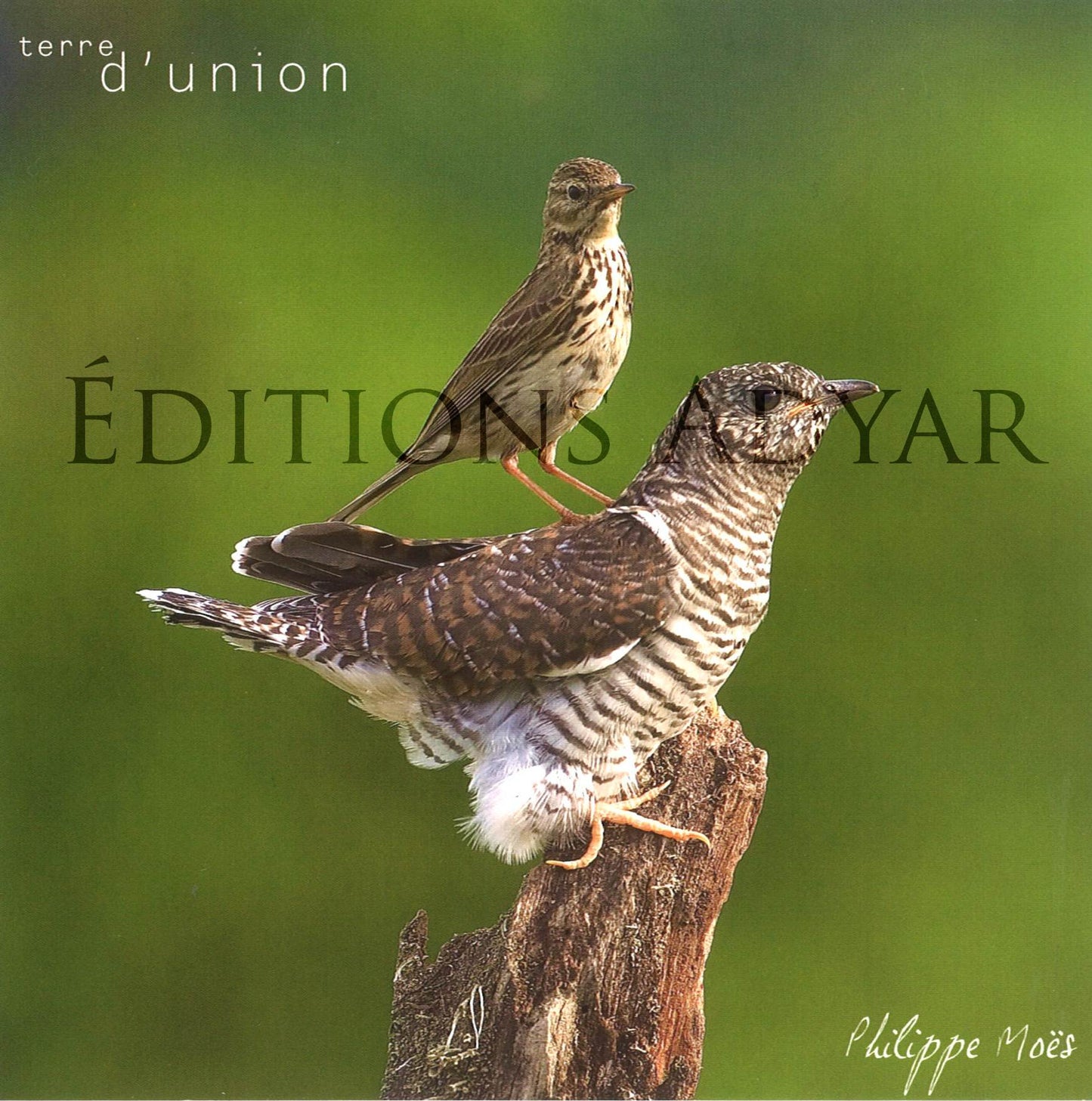 Carte de vœux « Terre d'union »