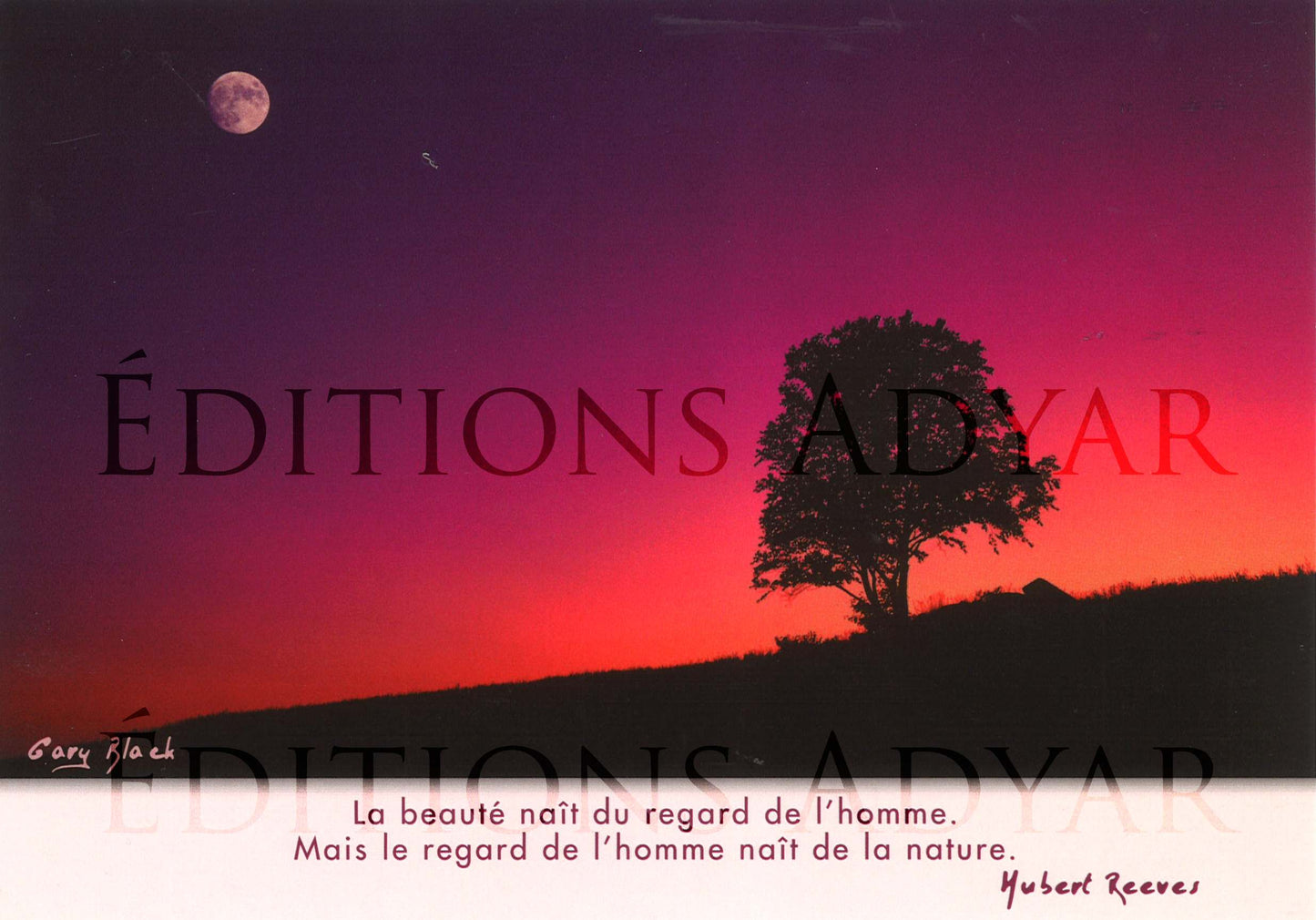 Carte de vœux « Regard »