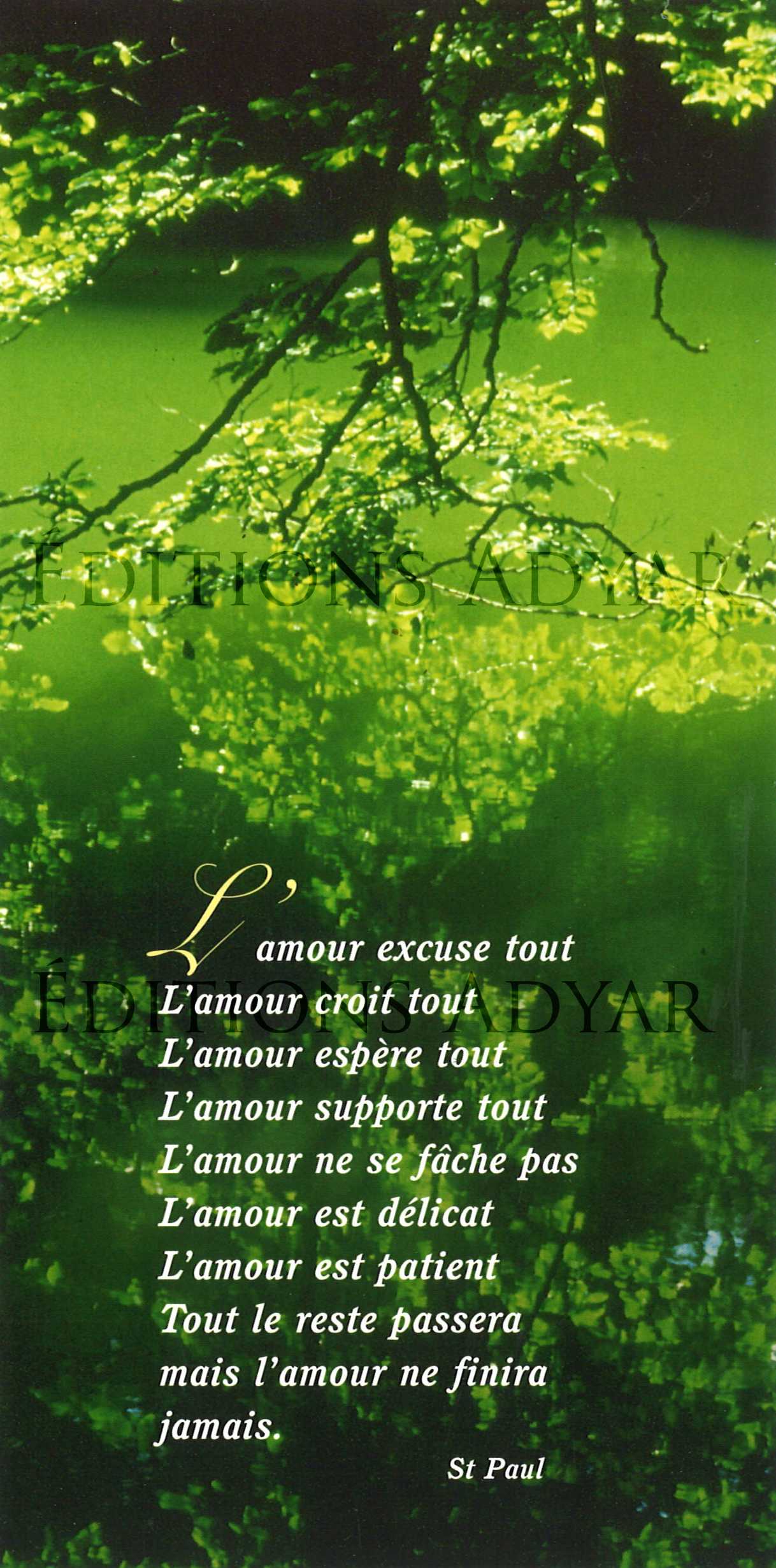 Carte de vœux « L'amour excuse tout... »
