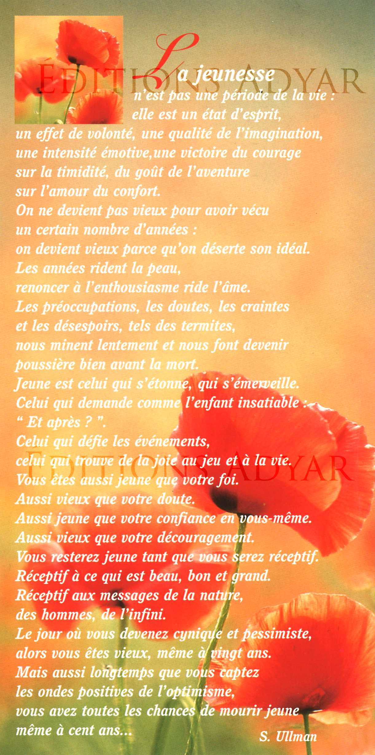 Carte de vœux « La jeunesse »