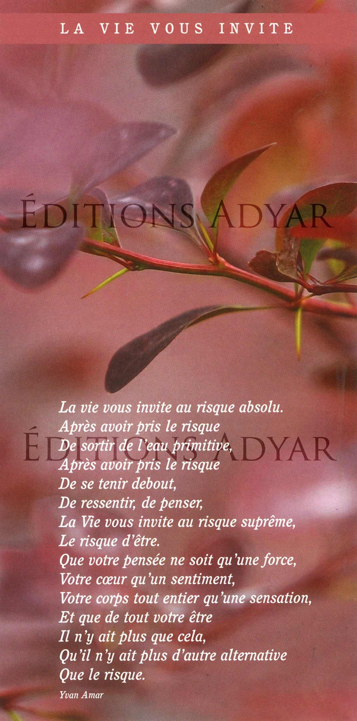 Carte de vœux « La vie vous invite »