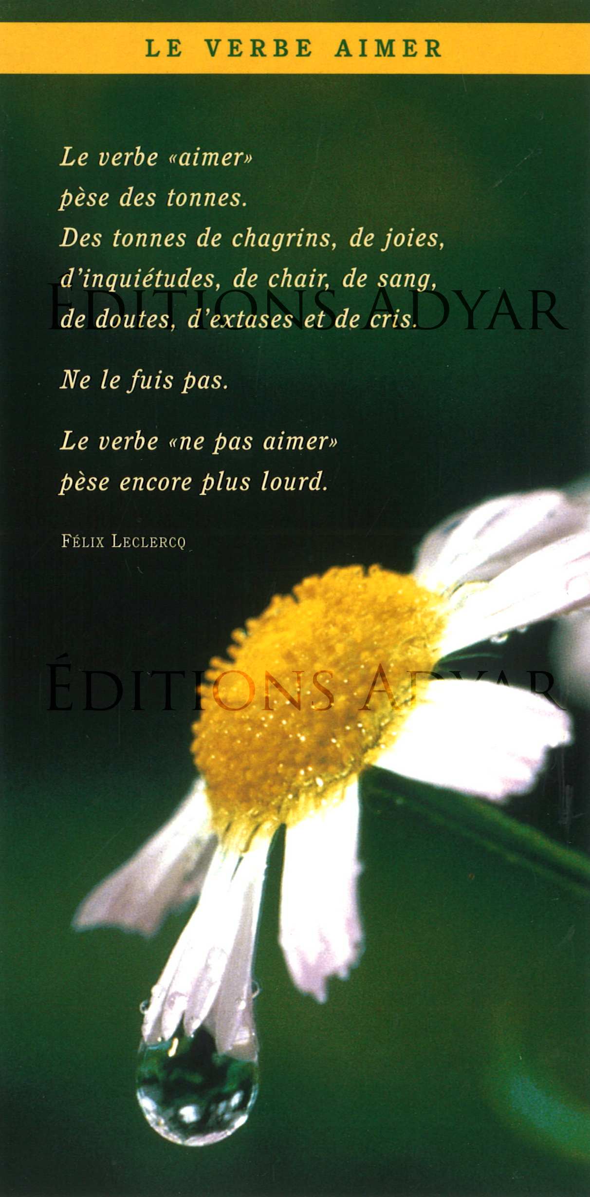 Carte de vœux « Le verbe aimer »