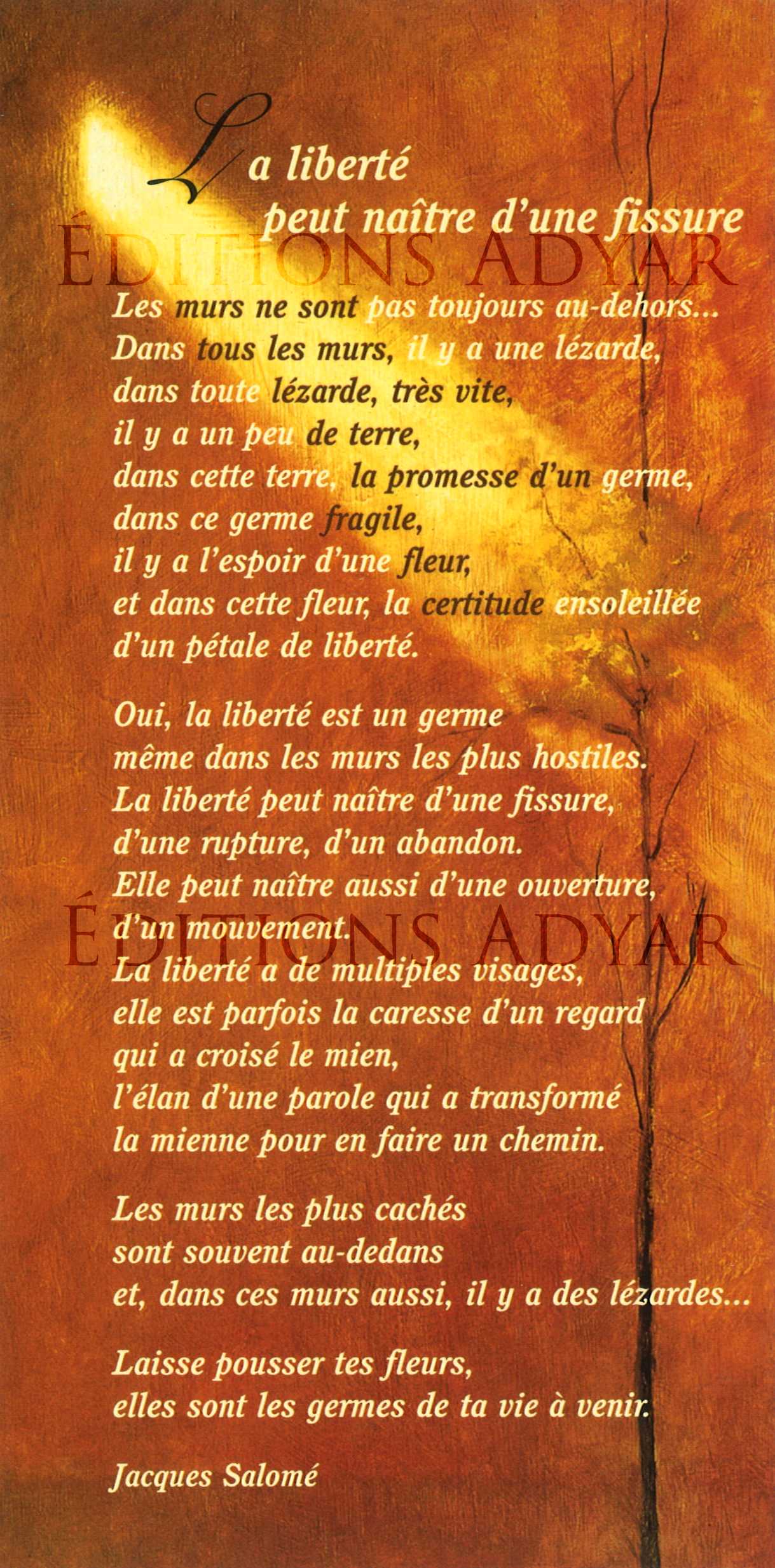 Carte de vœux « Fissure »