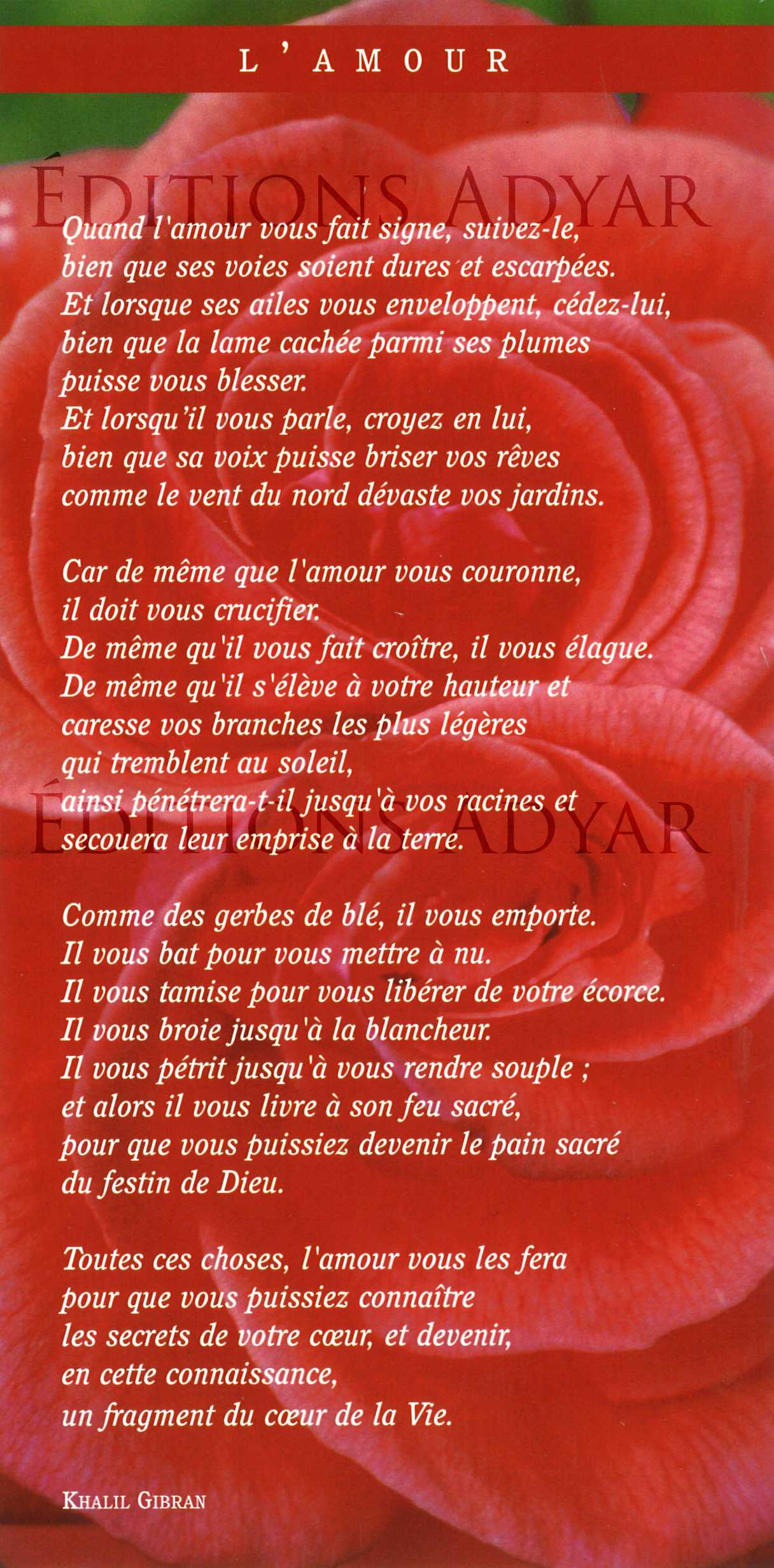 Carte de vœux « L'amour »