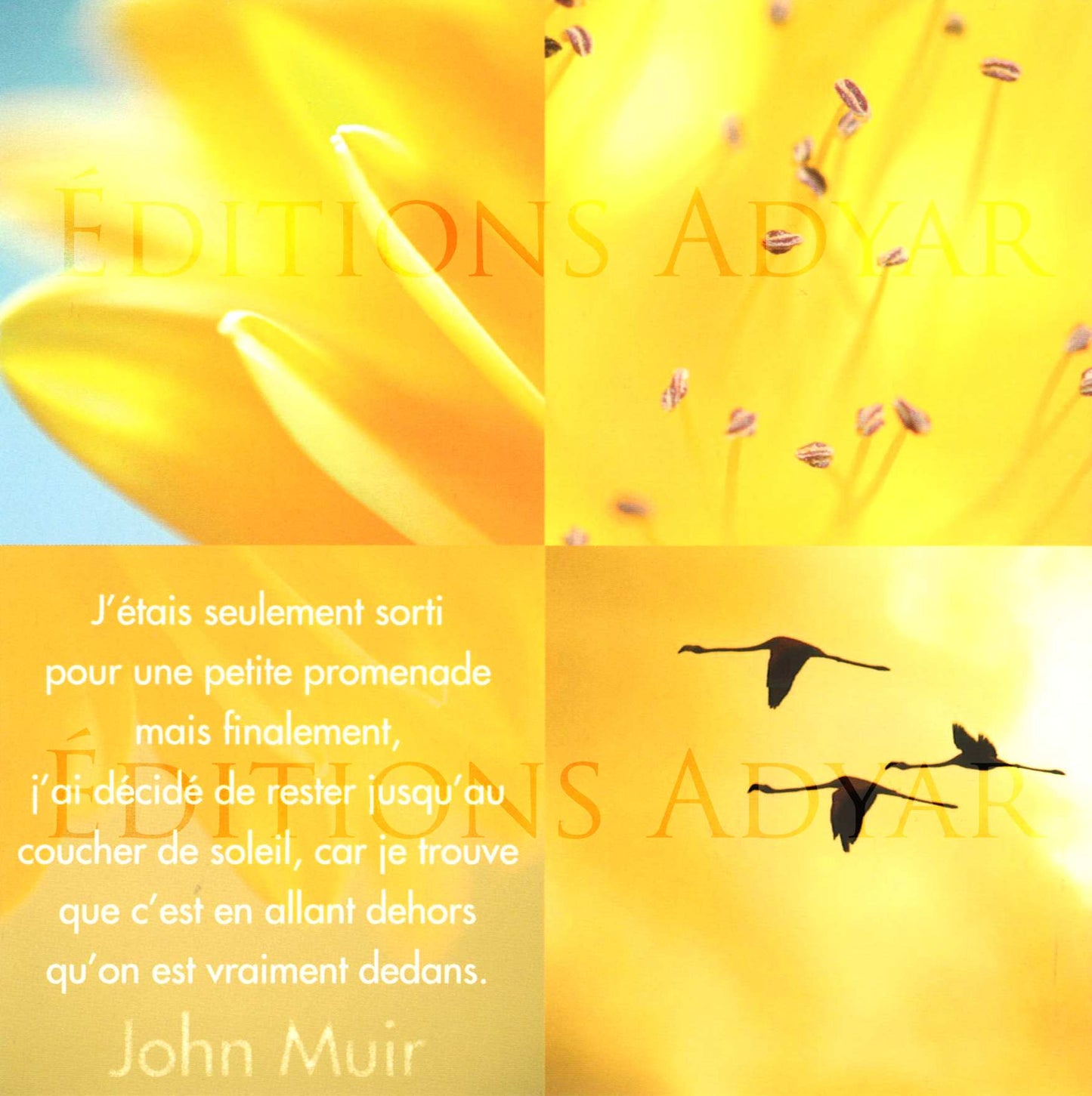 Carte de vœux « Promenade »