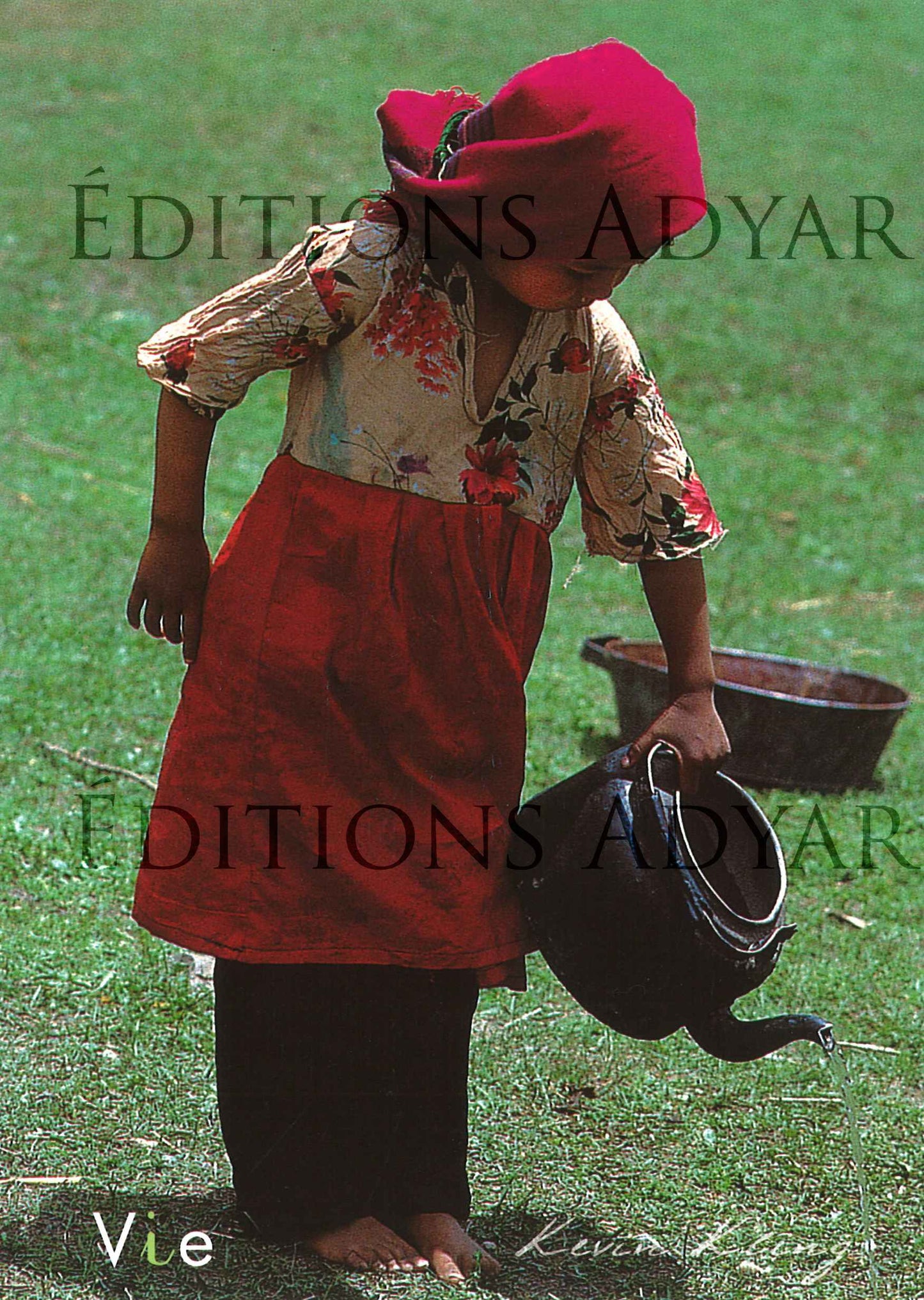 Carte de vœux « Vie »