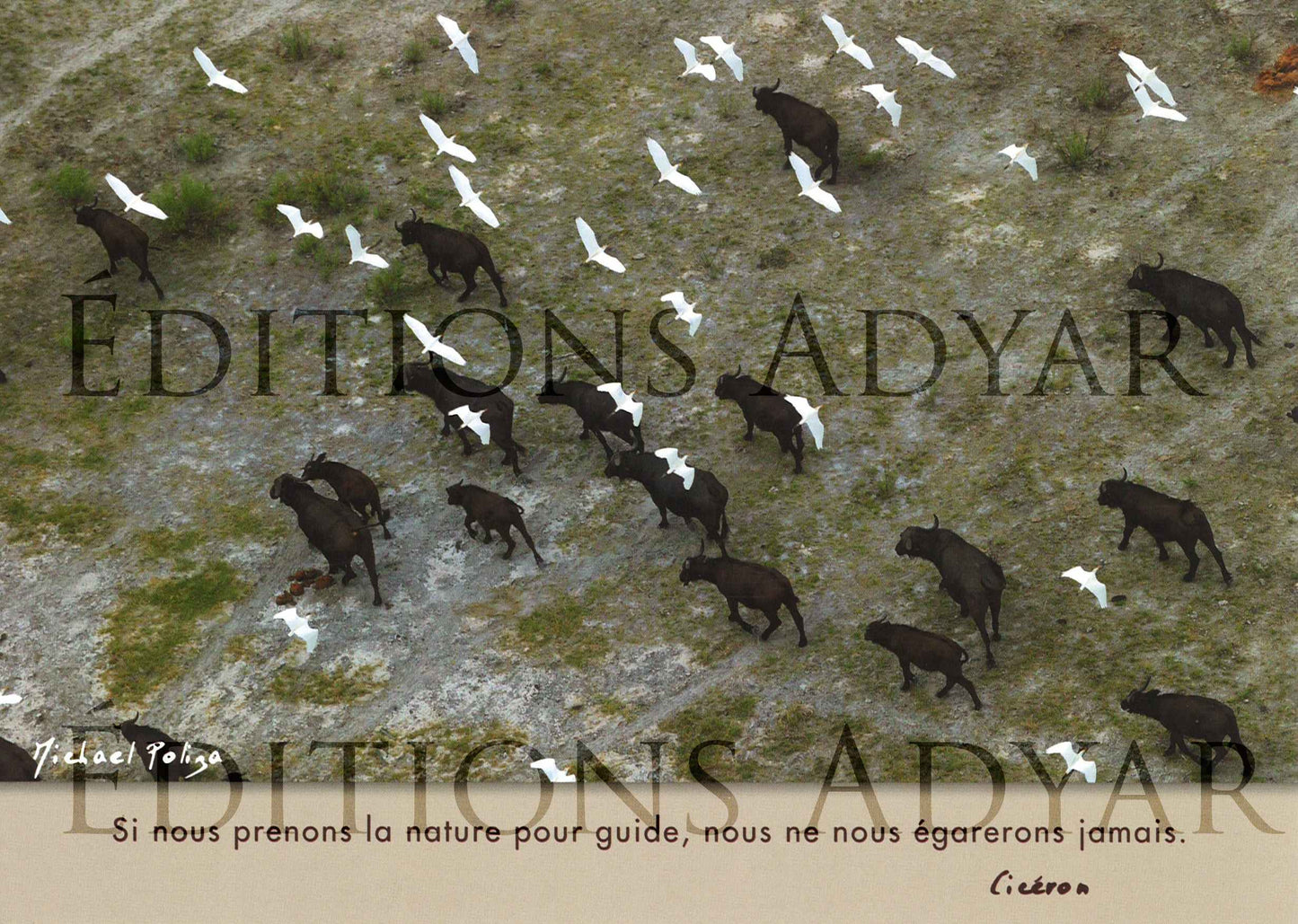 Carte de vœux « Guide »