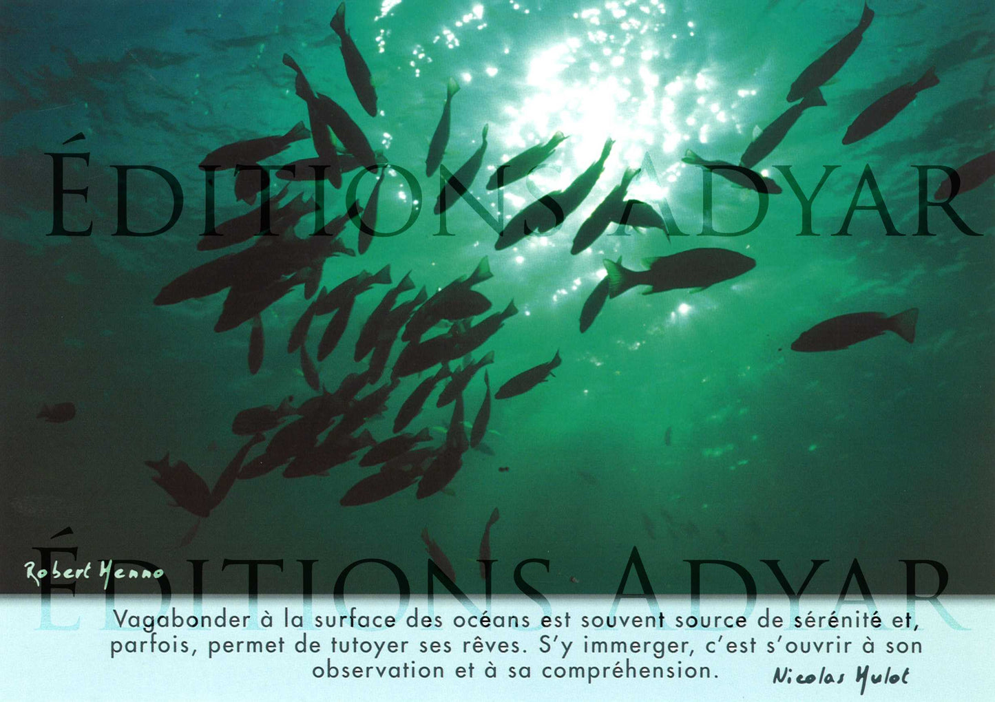 Carte de vœux « Océan »