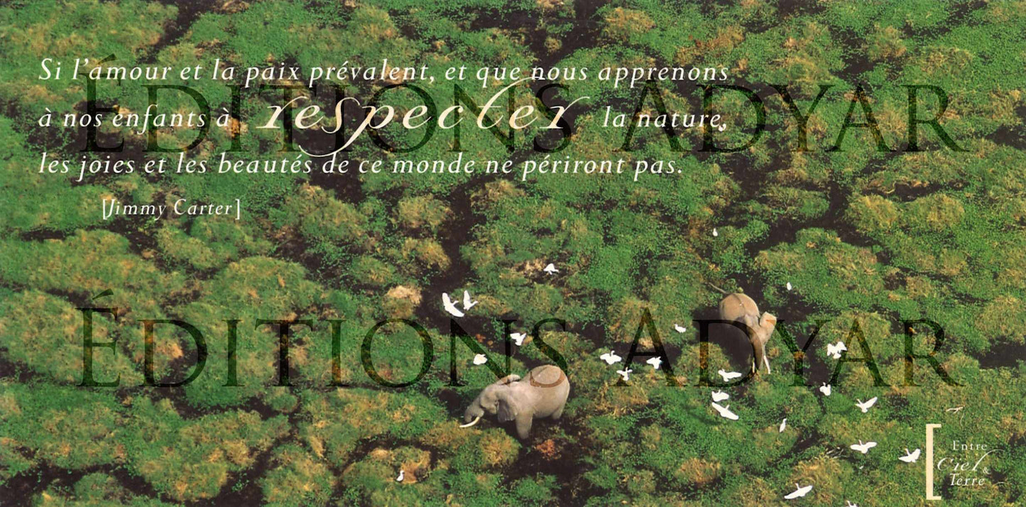 Carte de vœux « Respecter la nature »