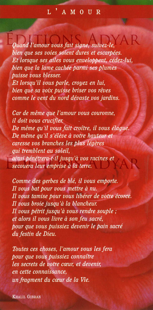 Carte de vœux « L'amour »