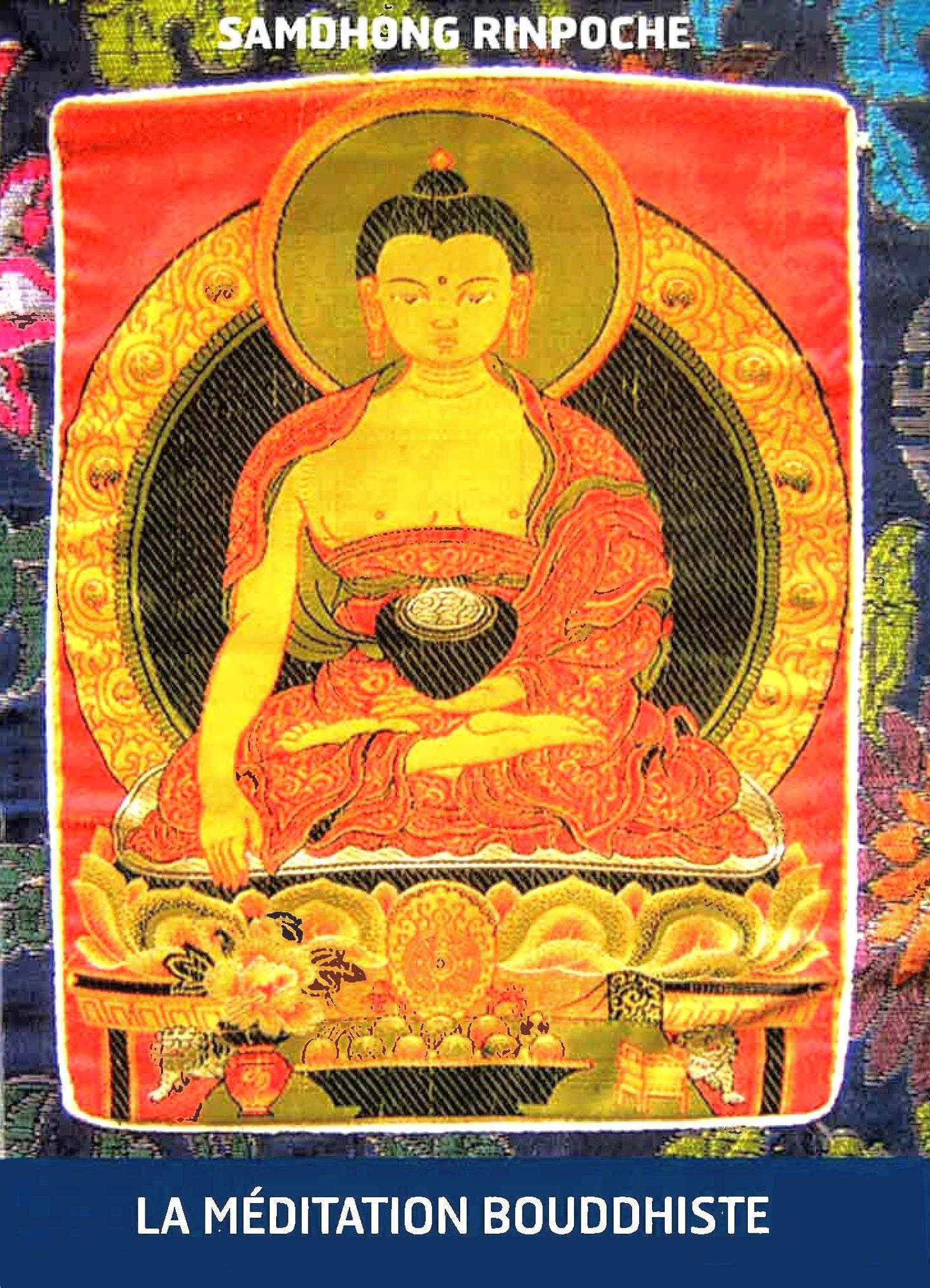 Occasion - La Méditation bouddhiste